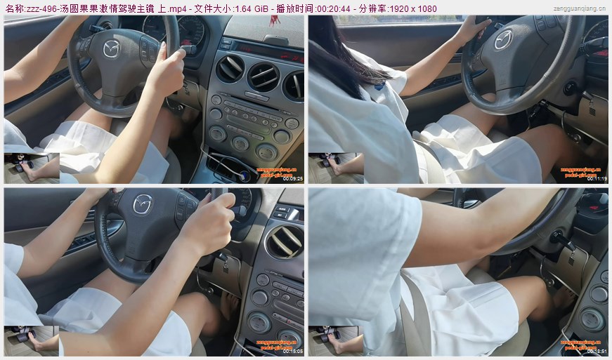 zzz-496